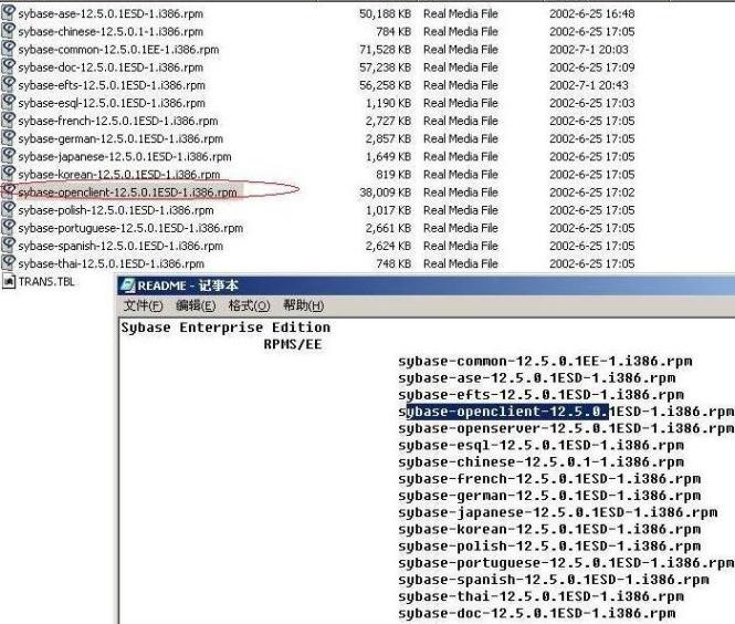 Sybase 原装光盘，里面居然少个文件！