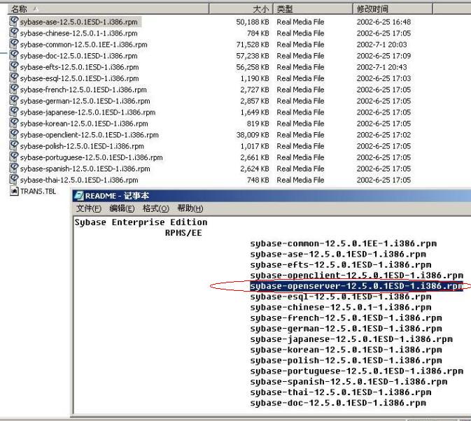 Sybase 原装光盘，里面居然少个文件！